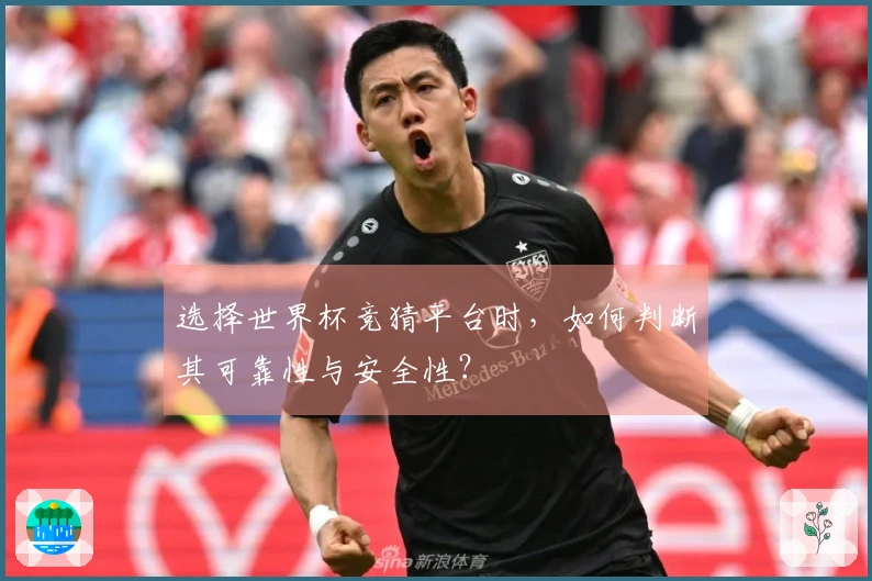 选择世界杯竞猜平台时，如何判断其可靠性与安全性？