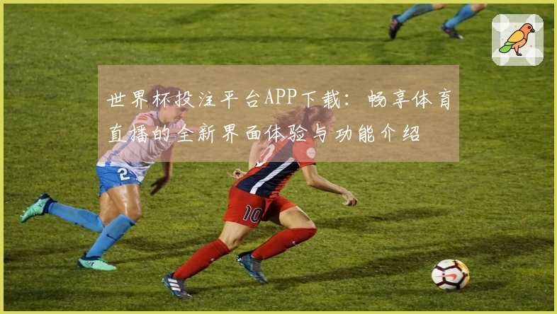 世界杯投注平台APP下载：畅享体育直播的全新界面体验与功能介绍