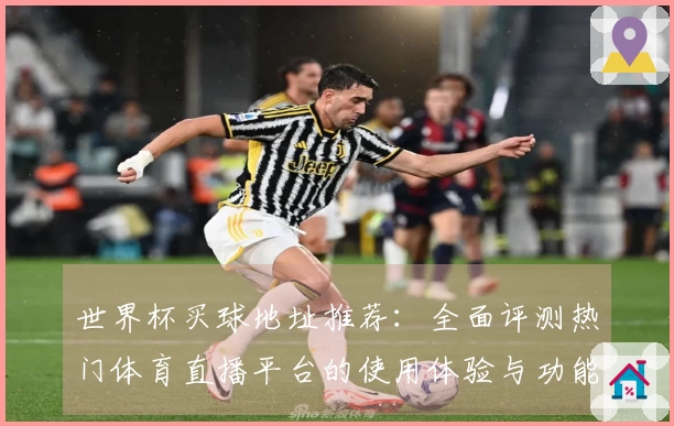 世界杯买球地址推荐：全面评测热门体育直播平台的使用体验与功能对比