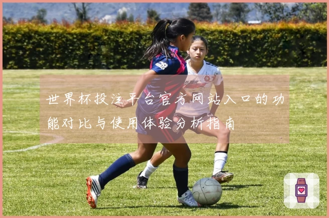 世界杯投注平台官方网站入口的功能对比与使用体验分析指南