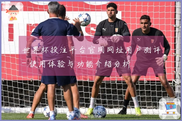 世界杯投注平台官网网址用户测评- 使用体验与功能介绍分析