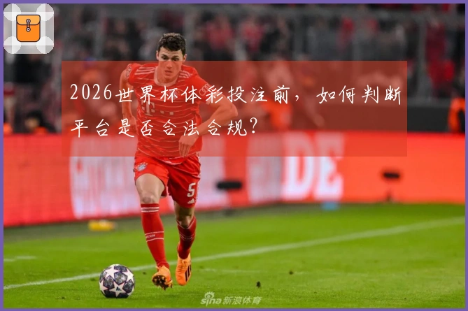 2026世界杯体彩投注前，如何判断平台是否合法合规？
