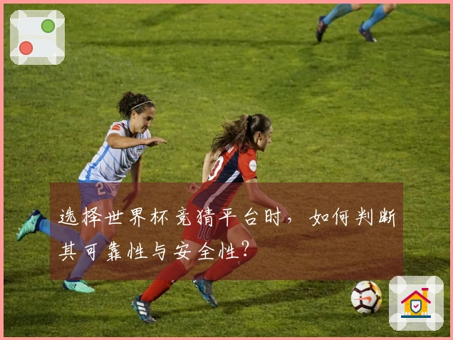 选择世界杯竞猜平台时,如何判断其可靠性与安全性?