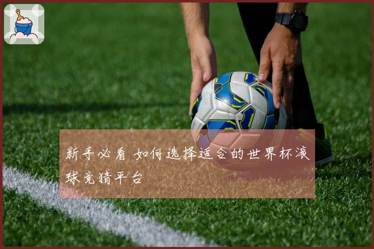 新手必看 如何选择适合的世界杯滚球竞猜平台