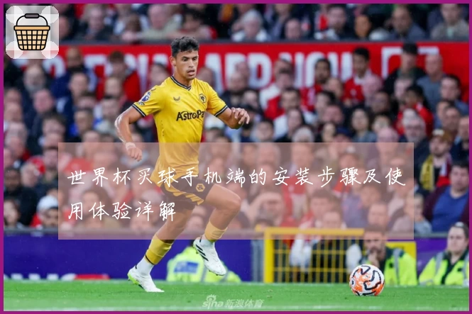世界杯买球手机端的安装步骤及使用体验详解
