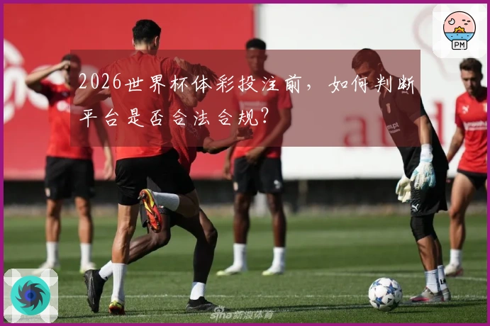 2026世界杯体彩投注前，如何判断平台是否合法合规？