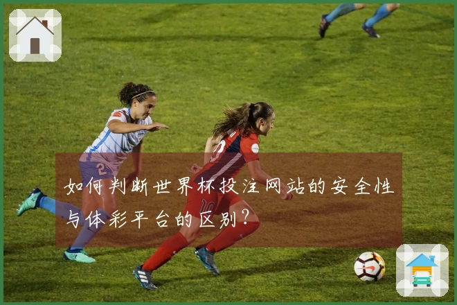 如何判断世界杯投注网站的安全性与体彩平台的区别?