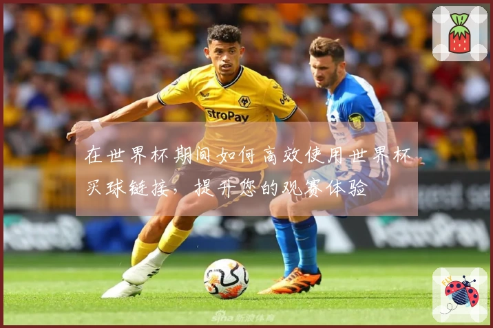 在世界杯期间如何高效使用世界杯买球链接,提升您的观赛体验