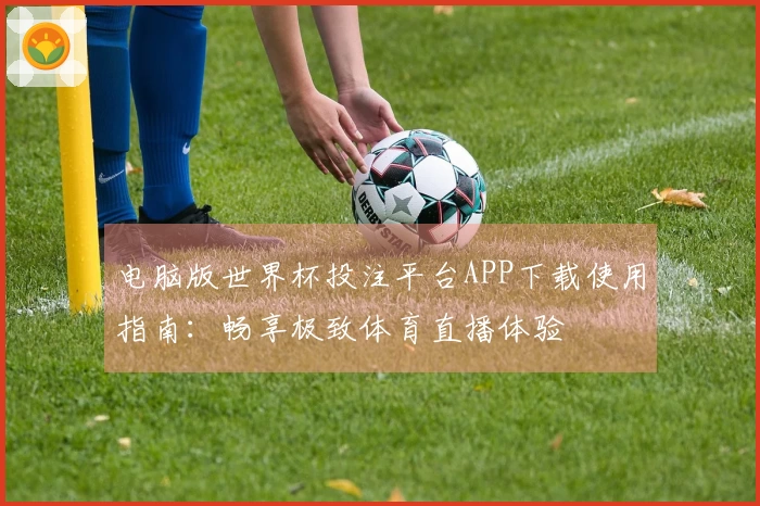 电脑版世界杯投注平台APP下载使用指南:畅享极致体育直播体验