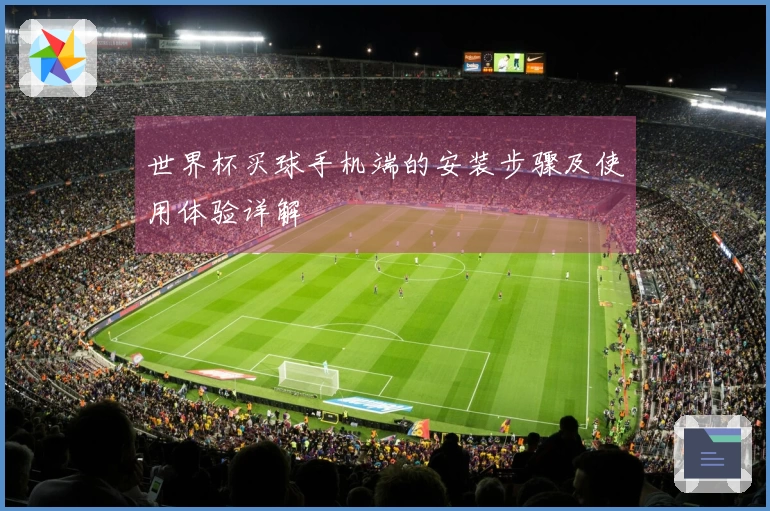 世界杯买球手机端的安装步骤及使用体验详解